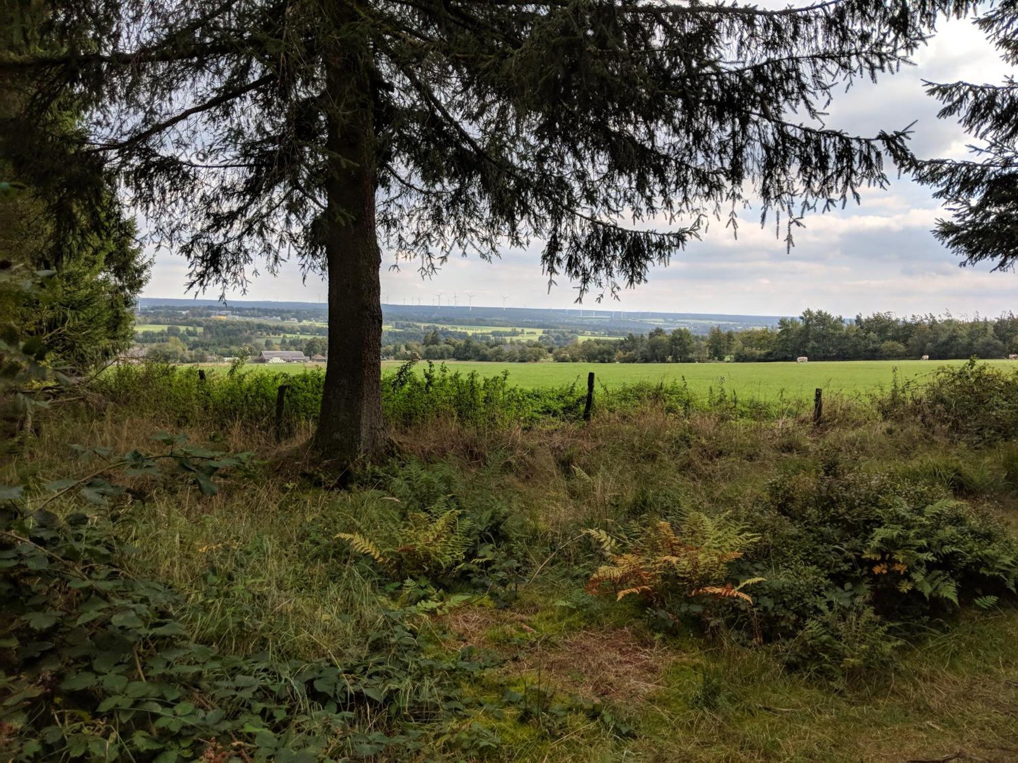 Victorhof Landurlaub Deine Auszeit Im Gruenen, Umgeben Von Wald & Wiesen Monschau Exterior photo